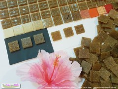 V710A-platypus-brown-mosaictile-photo3