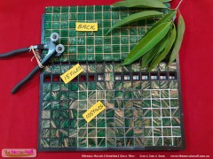 v290g-greenleaf-green_mosaictile_grid